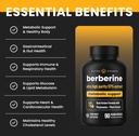 nutrachamps-berberine-supplement-ultra-h-4.jpg