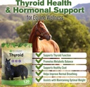 silver-lining-herbs-thyroid-support-for--2.jpg