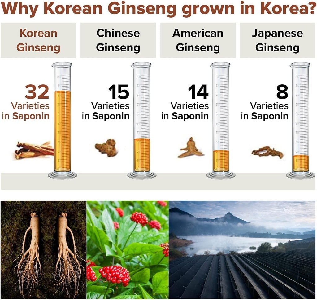 korean-red-ginseng-capsules-natural-ener-6.jpg