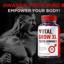 2-pack-vital-grow-xl-official-vital-grow-4.jpg