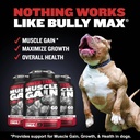 bully-max-3-in-1-liquid-dog-muscle-build-5.jpg