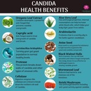 candida-support---aids-digestion-intesti-4.jpg
