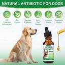antibiotics-for-dogsnatural-antibiotics--4.jpg