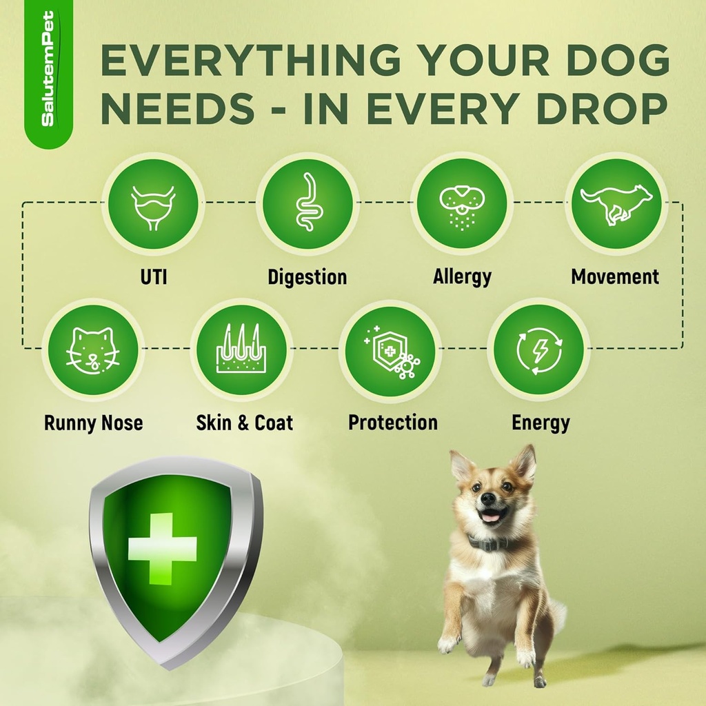 natural-antibiotics-for-dogs-and-puppies-2.jpg