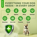 natural-antibiotics-for-dogs-and-puppies-2.jpg