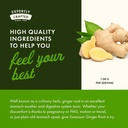 swanson-full-spectrum-ginger-root-540-mg-5.jpg