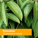 herb-pharm-certified-organic-cinnamon-li-2.jpg