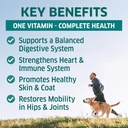 dog-multivitamin---dog-vitamins-and-supp-2.jpg