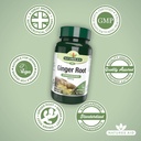 natures-aid-ginger-500mg-4.jpg