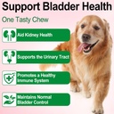 urinary-tract-for-dogs-dog-urinary-tract-6.jpg