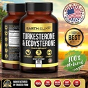 turkesterone-ecdysterone-natural-testost-6.jpg