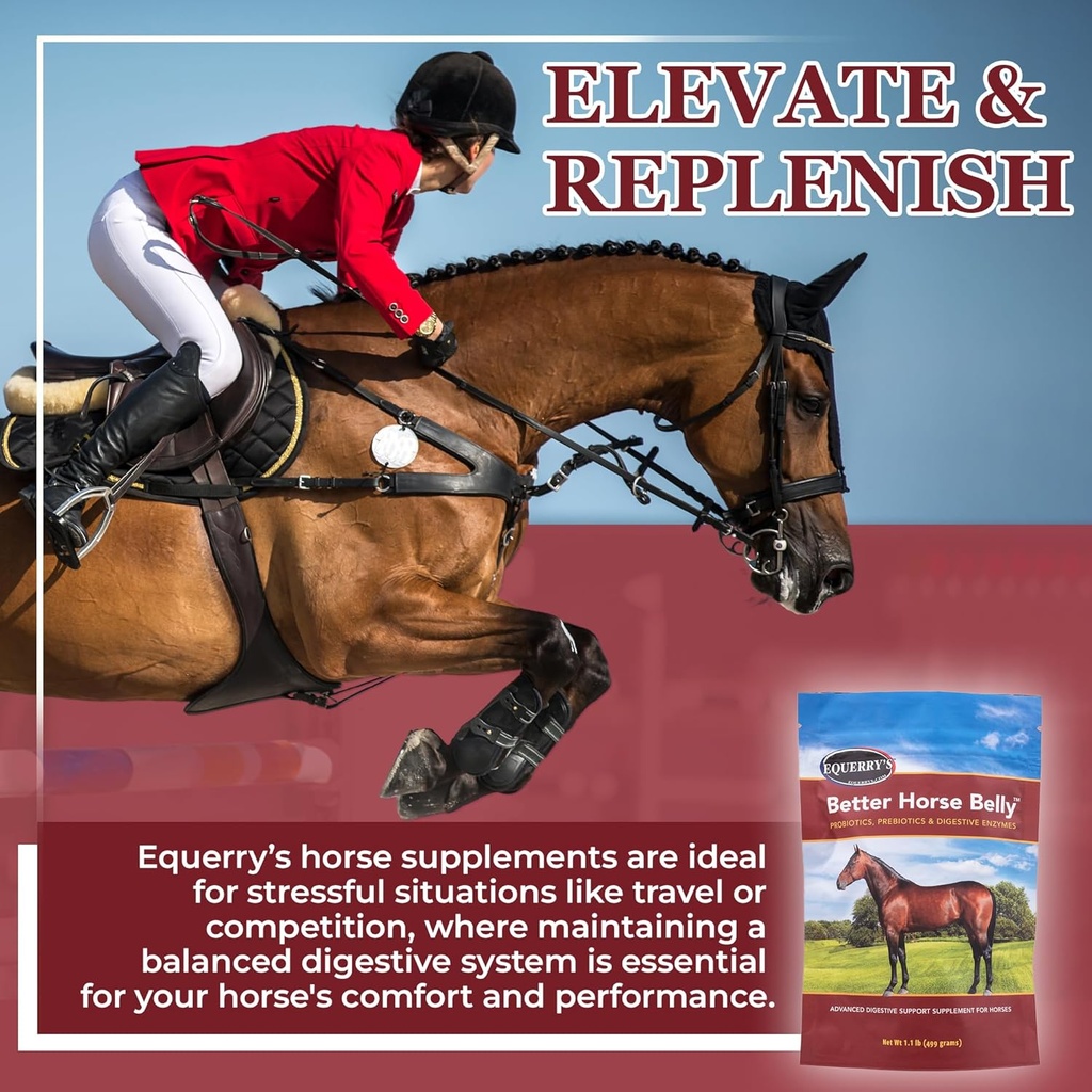 equerrys-better-horse-belly---horse-supp-6.jpg