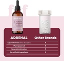 fifth-fido-adrenal-support-liquid-drops--4.jpg