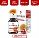 organic-reishi-mushroom-capsules-with-10-6.jpg