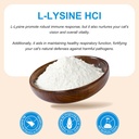 l-lysine-powder-for-cats-lysine-suppleme-3.jpg