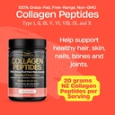 frezzor-collagen-peptides-powder-reduces-3.jpg