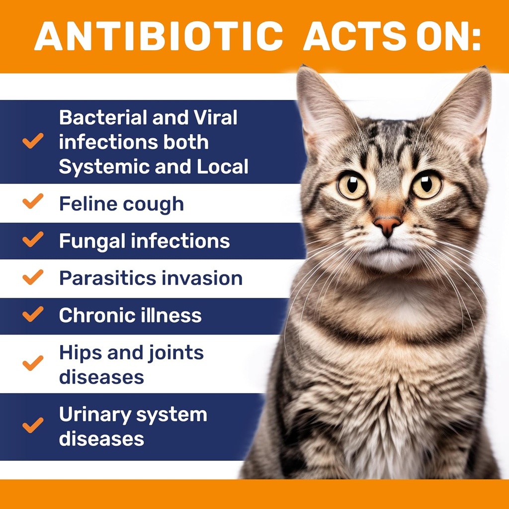 cat-antibiotic-to-help-with-cough-allerg-3.jpg