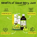 basic-ayurveda-gooseberry-juice-pure-aml-4.jpg