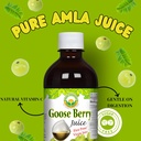 basic-ayurveda-gooseberry-juice-pure-aml-5.jpg