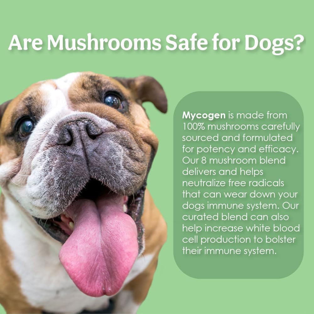 mycogen-for-dogs---vitamins-with-8-types-3.jpg