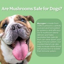 mycogen-for-dogs---vitamins-with-8-types-3.jpg