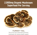 om-mushroom-superfood-turkey-tail-mushro-5.jpg