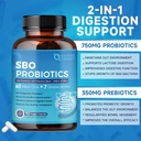 probiotics-for-women-men-digestive-healt-4.jpg