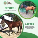 doc-hoags-aloe-veraagave-premium-horse-s-5.jpg