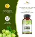 organic-veda-amla-fruit-capsules-20-x-co-3.jpg