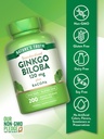 natures-truth-ginkgo-biloba-120mg-plus-b-3.jpg