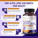 alpha-lipoic-acid-acetyl-l-carnitine---s-3.jpg
