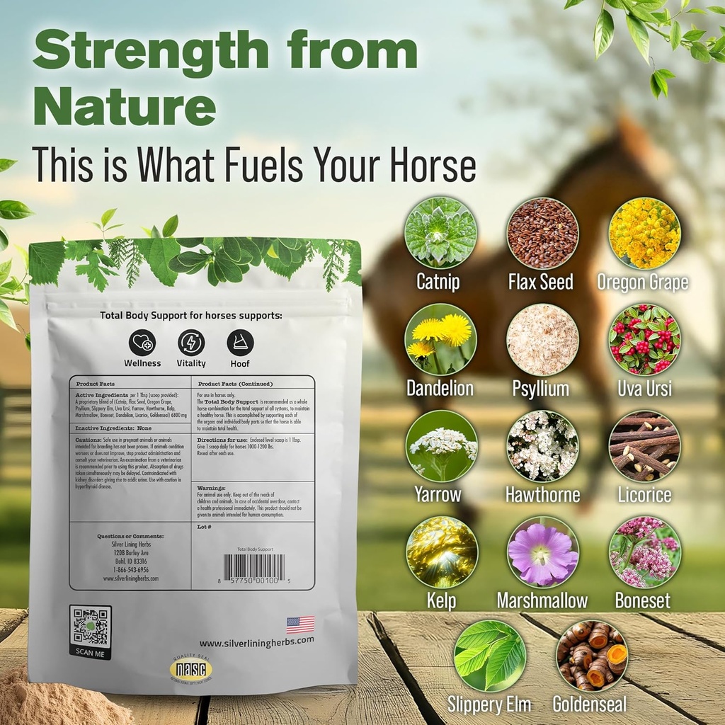 silver-lining-herbs-total-body-horse-sup-3.jpg