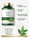 carlyle-neem-leaf-950mg-150-powder-capsu-4.jpg