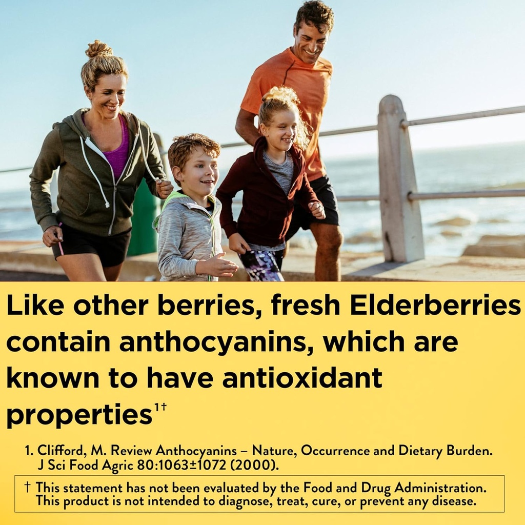 nature-made-elderberry-400-mg-extract-wi-2.jpg