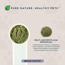 animal-essentials-ocean-kelp-for-dogs-ca-3.jpg