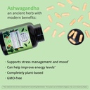 organic-ashwagandha-capsules-2100mg-stre-2.jpg