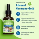 pet-wellbeing-adrenal-harmony-gold-for-d-3.jpg