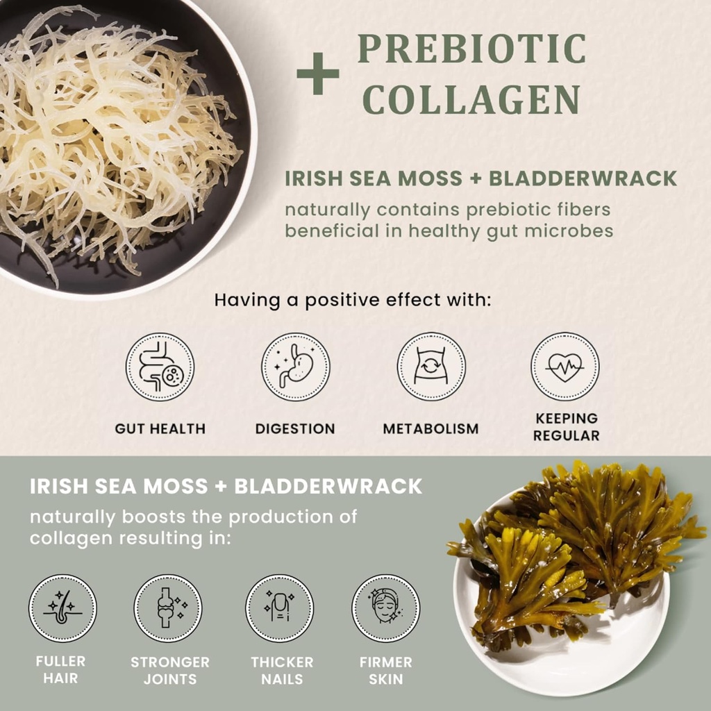 happy-fox-irish-sea-moss-capsules-with-b-5.jpg
