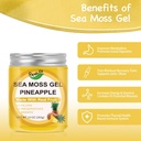 organic-sea-moss-gel10oz-irish-seamoss-g-2.jpg