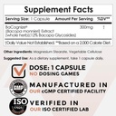 nootropics-depot-bacognize-bacopa-monnie-2.jpg