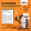 wild-organic-mushroom-gummies-lions-mane-3.jpg