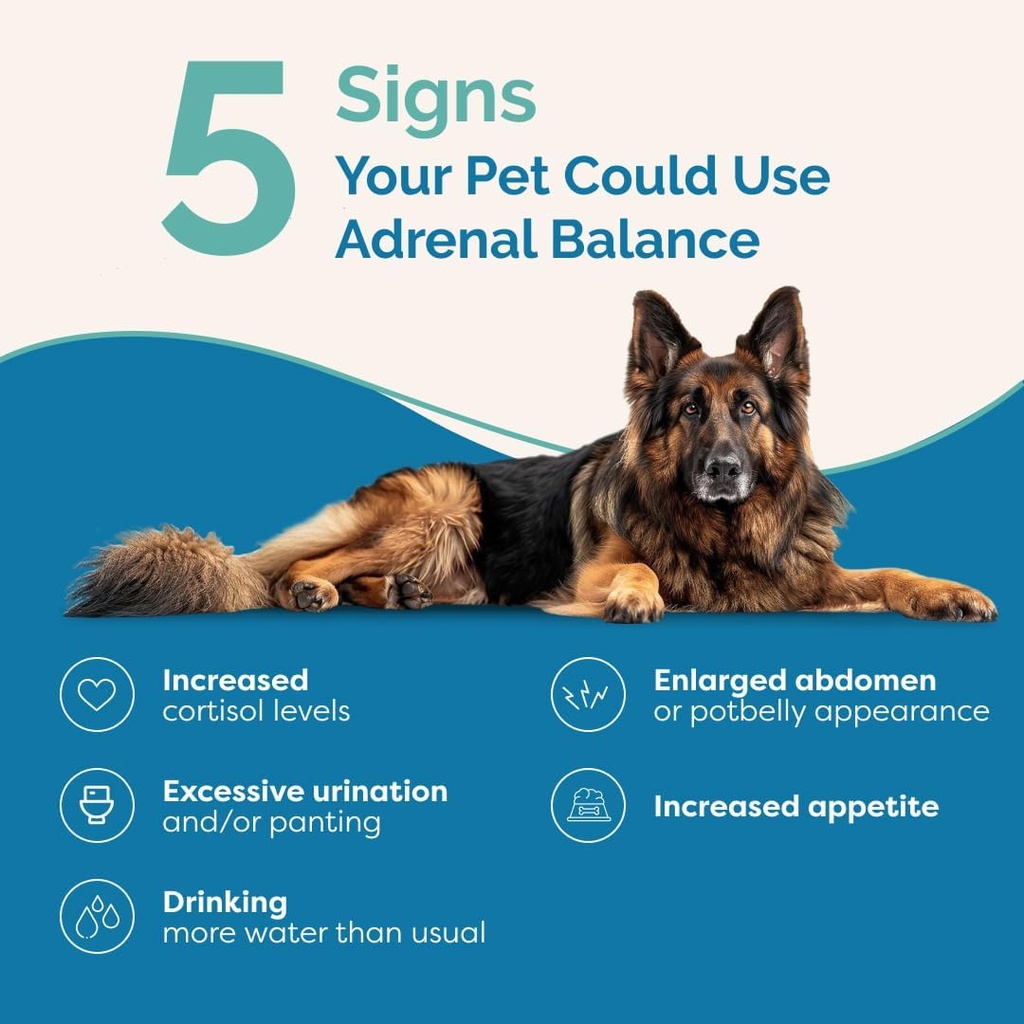 pranapets-adrenal-balance-for-dogs-with--2.jpg
