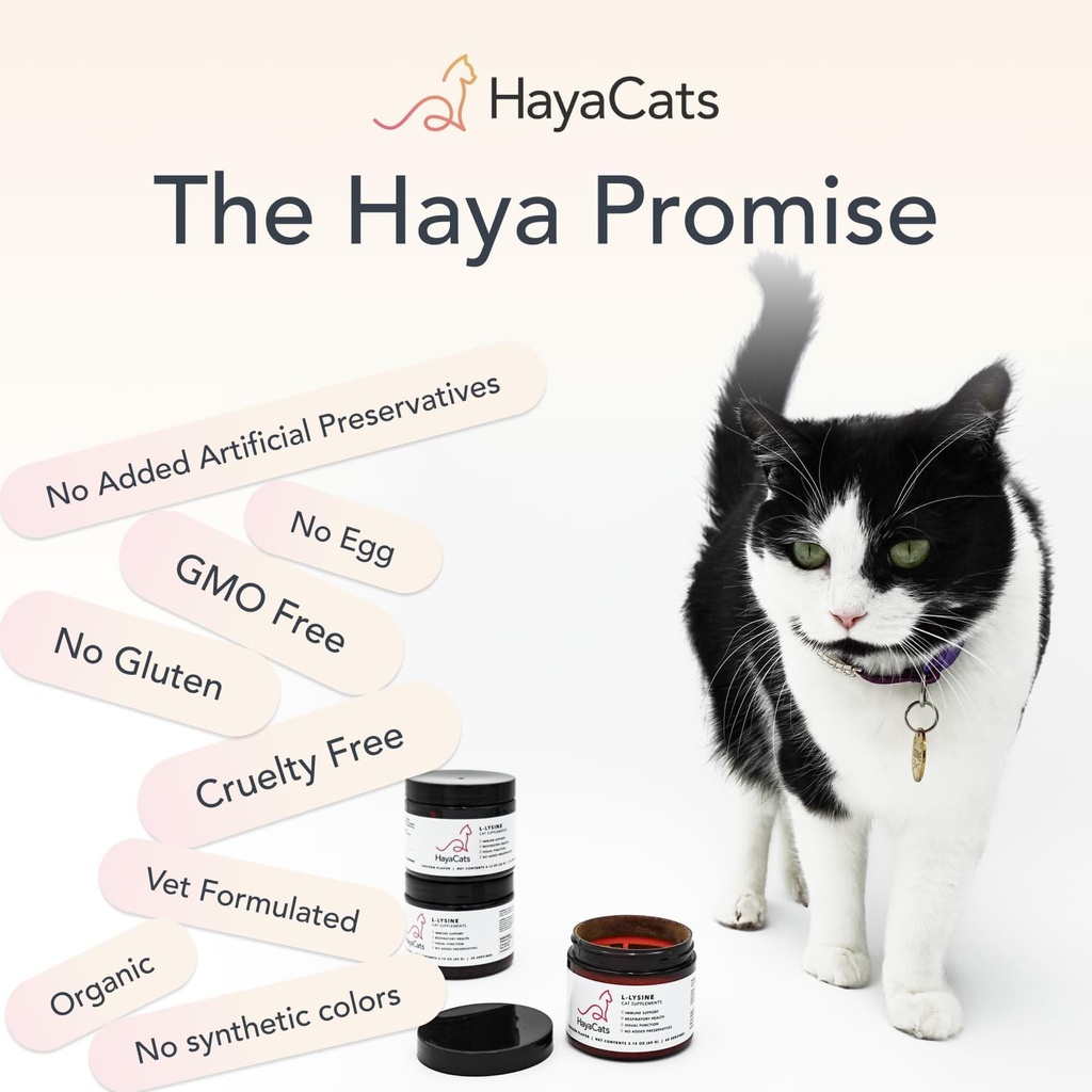 hayacats-l-lysine-powder-for-cats-immune-3.jpg