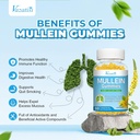 10-in-1-mullein-gummies-for-lungs-mullei-4.jpg