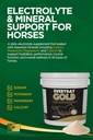 trm-everyday-gold-electrolyte-horse-supp-4.jpg