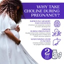 choline-prenatal-brain-and-cognitive-sup-4.jpg