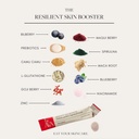 byava-resilient-skin-booster-prebiotic-a-5.jpg