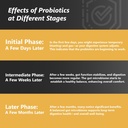 probiotics-with-prebiotics-for-men-and-w-6.jpg