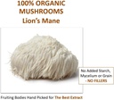 jetsu-lions-mane-mushroom-powder-organic-4.jpg