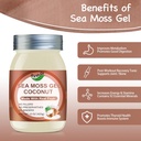 sea-moss-raw-organicirish-sea-moss-gel-1-2.jpg